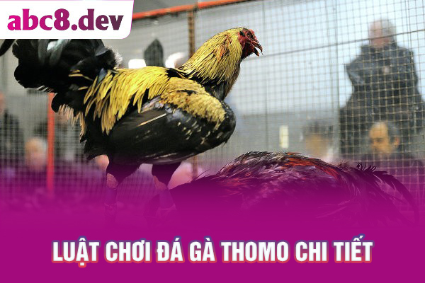 Luật chơi đá gà Thomo chi tiết